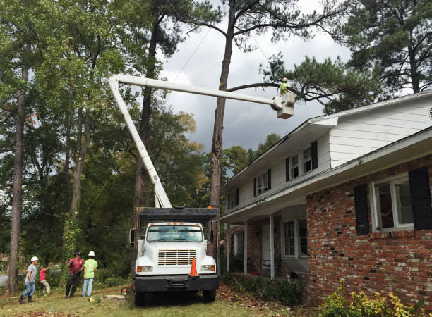 Lawn Irrigation Installation and Maintenance in Lake City, GA